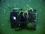 un casier perdu ça continue à pêcher...