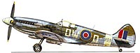 Spitfire Mk XIV du Squadron Leader Newberry